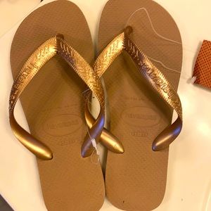 NWT Havaianas flip flops Never worn. Gold/Tan color
